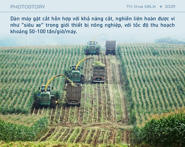 Những cỗ “siêu máy” trên cánh đồng nguyên liệu 8.100 ha của TH true MILK ảnh 5