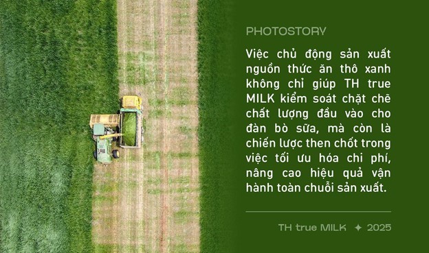 Những cỗ “siêu máy” trên cánh đồng nguyên liệu 8.100 ha của TH true MILK ảnh 6