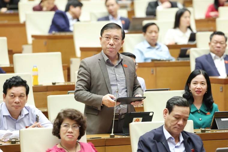 Vị đại biểu vì sự nghiệp an sinh xã hội ảnh 1