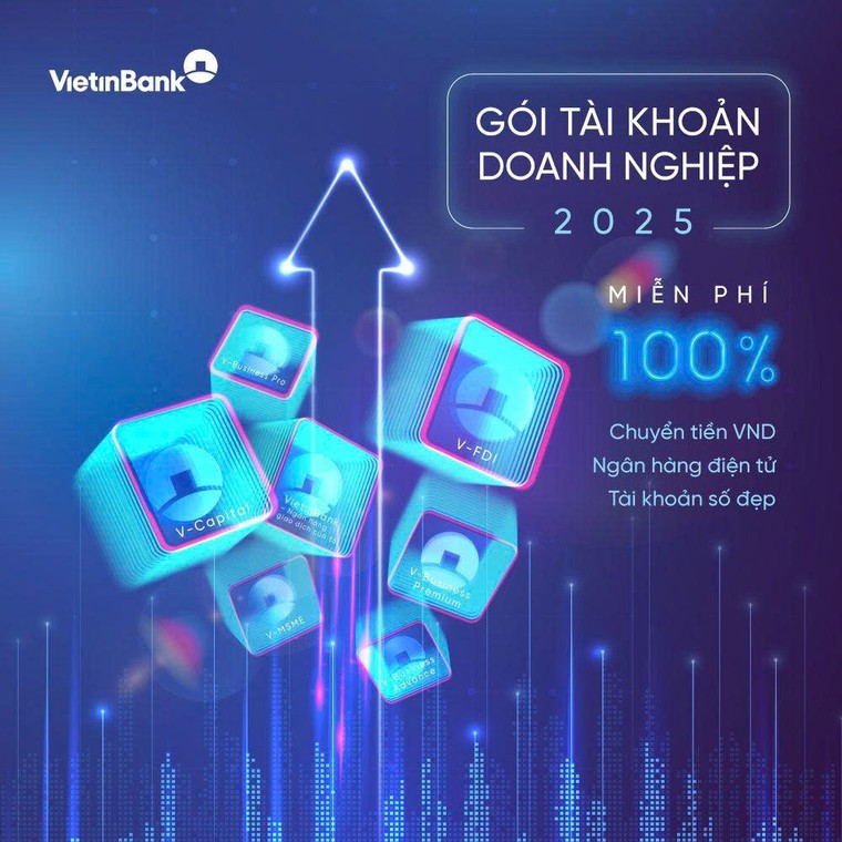 VietinBank mở rộng chính sách ưu đãi phí vượt trội cho Gói tài khoản doanh nghiệp ảnh 1