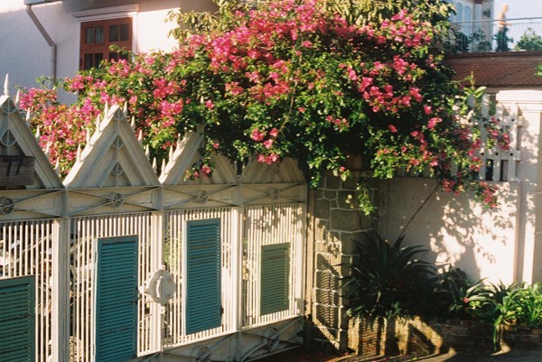 Đà Lạt - thành phố ngàn thông reo cho những kẻ mơ mộng ảnh 2