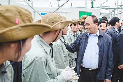 Thủ tướng muốn có gói tín dụng 100.000 tỷ đồng cho nông nghiệp công nghệ cao ảnh 1