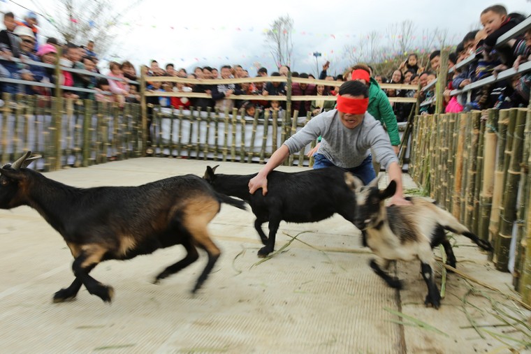 Du xuân, trẩy hội khèn, hoa tại Fansipan Legend ảnh 3