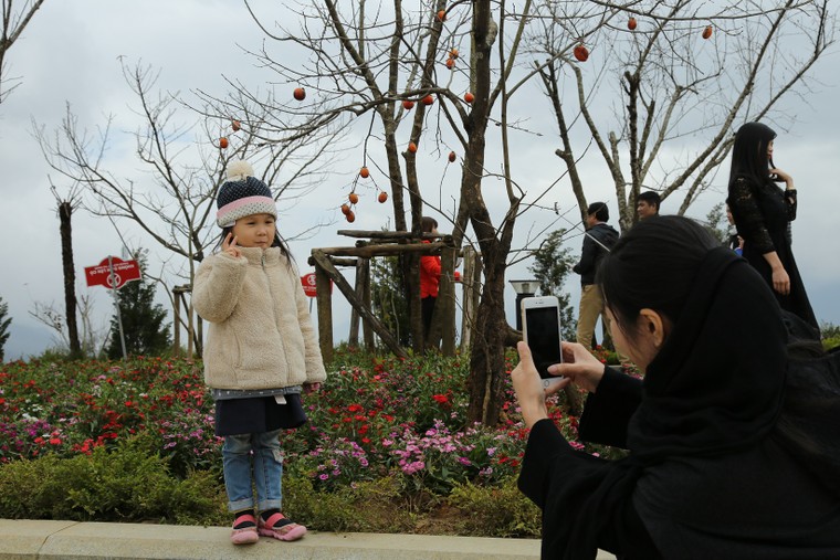 Du xuân, trẩy hội khèn, hoa tại Fansipan Legend ảnh 5