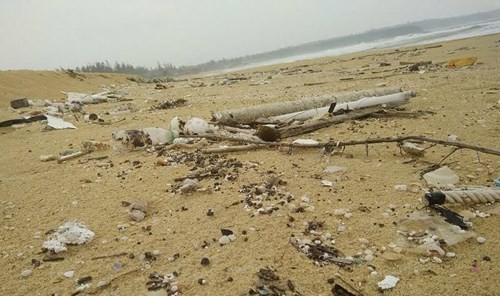 Thu gom rác thải, dầu vón cục dạt vào bờ biển ảnh 3