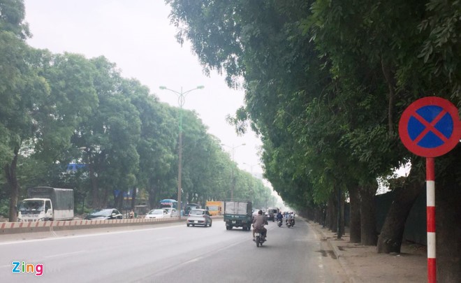 Hà Nội sắp chặt hạ, chuyển hơn 1.300 cây xanh ảnh 1