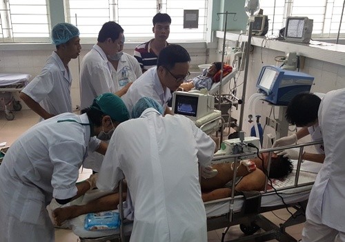  Trâu chọi Đồ Sơn húc chủ nguy kịch ảnh 1