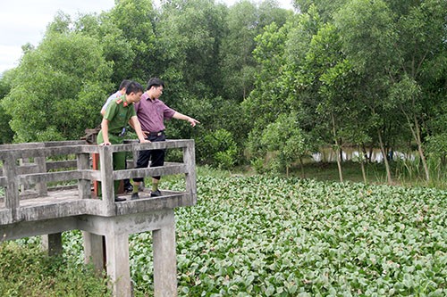 Đoạt mạng, vứt xác bạn sau 5 lần thuyết phục bán xe bất thành ảnh 1