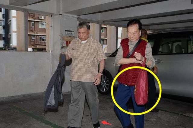 Lưu Đức Hoa bỏ mặc chị gái nghèo khổ ảnh 1