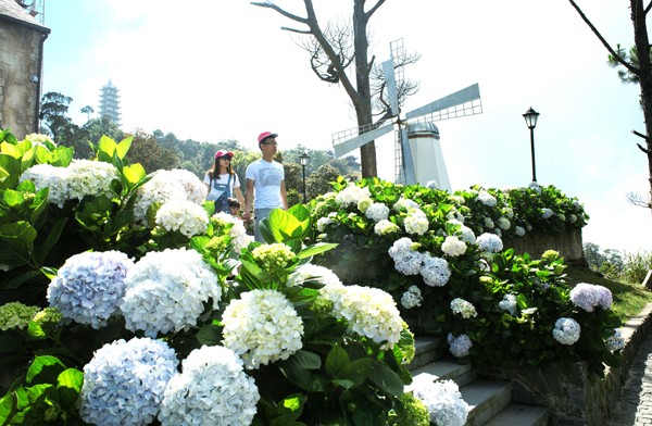 Trao tặng danh hiệu 'Khu du lịch hàng đầu Việt Nam 2017' cho Sun World Ba Na Hills ảnh 5