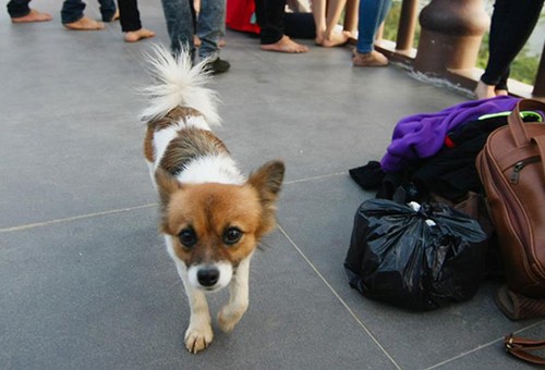 Những chính sách nổi bật có hiệu lực từ tháng 9 ảnh 1