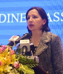 Việt Nam sẵn sàng xây dựng Chính phủ số ảnh 1