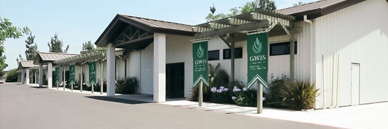 Nghi án trường 'ma' GWIS: ‘Tốt nhất và tồi nhất’ ảnh 1