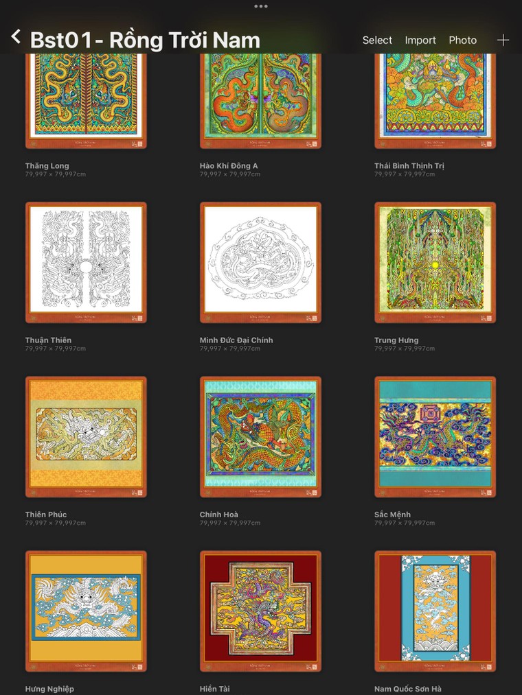 Quà tặng ký ức: Bối Ân ra mắt bộ sưu tập hoa văn "Rồng trời Nam" ảnh 4