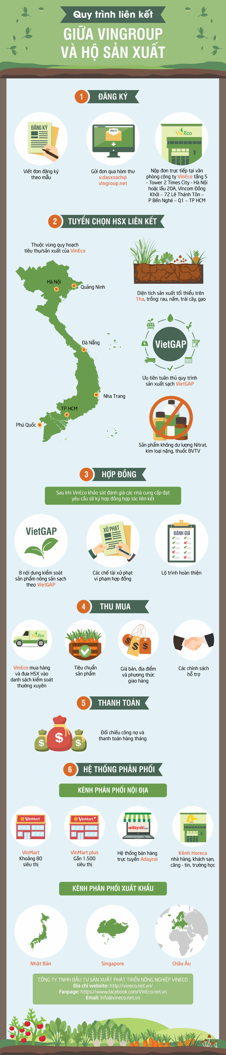 Mục sở thị mô hình liên kết nâng chất nông sản Việt ảnh 1