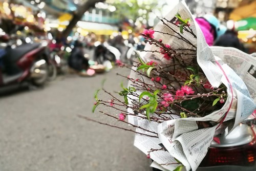 Sắm Tết ở 'chợ nhà giàu' giữa phố cổ Hà Nội ảnh 10