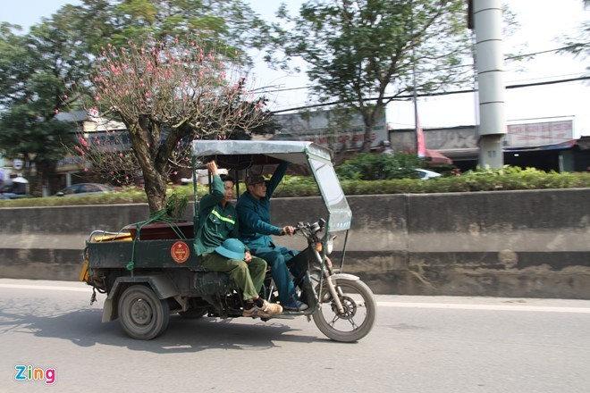 Dân chở đào quất thuê giảm thu nhập vì tắc đường ảnh 1