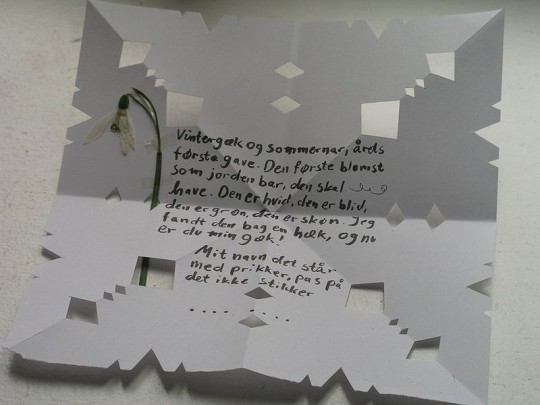 Valentine trắng, Valentine đen và những vòng nguyệt quế ảnh 2