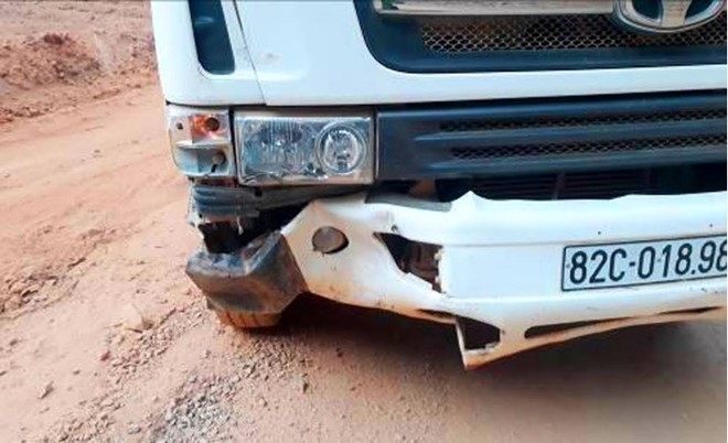 Bò tót 800 kg lao vào ôtô chết vì phản ứng với còi xe ảnh 1