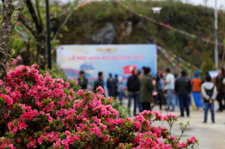 Sun World Fansipan Legend: Đỗ quyên Hoàng Liên đã vào mùa ảnh 4