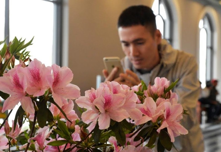 Sun World Fansipan Legend: Đỗ quyên Hoàng Liên đã vào mùa ảnh 7