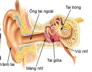 Lấy ráy tai dễ mắc bệnh về tai ảnh 1