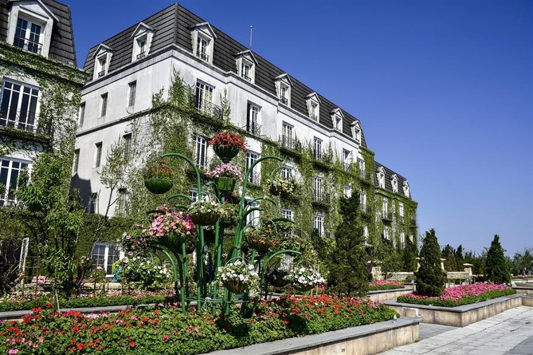 Lạc thiên đường muôn sắc hoa Sun World Ba Na Hills ảnh 11