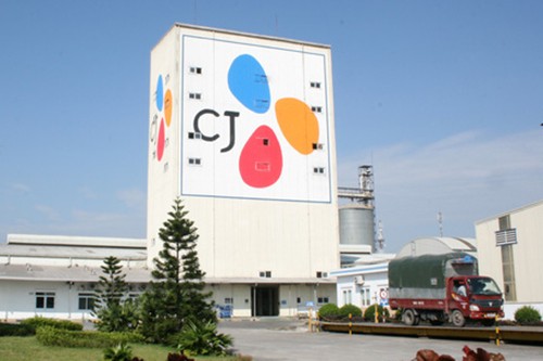 Tham vọng của đại gia Hàn Quốc thâu tóm Cầu Tre ảnh 1