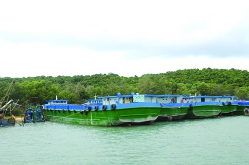 Xói mòn bờ biển do khai thác cát ảnh 2