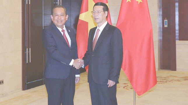 Phó Thủ tướng Trương Hòa Bình gặp gỡ Phó Thủ tướng Trung Quốc ảnh 1