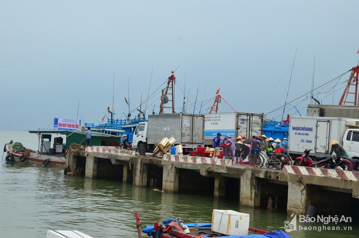 Nghệ An và Hà Tĩnh hối hả di dân, phòng chống bão số 10 ảnh 1