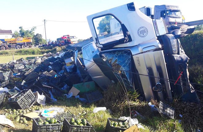Xe container bị lật, người dân đổ ra đường thu gom 20 tấn hoa quả giúp tài xế ảnh 1