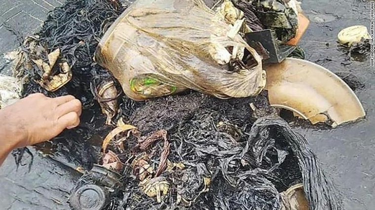 Phát hiện hơn 1.000 mảnh nhựa bên trong xác cá voi tại Indonesia ảnh 1