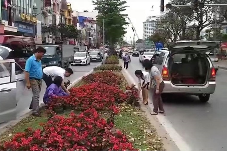 Người dân Hà Nội đánh xe ô tô để 'hôi hoa' trên đường Kim Mã ảnh 1