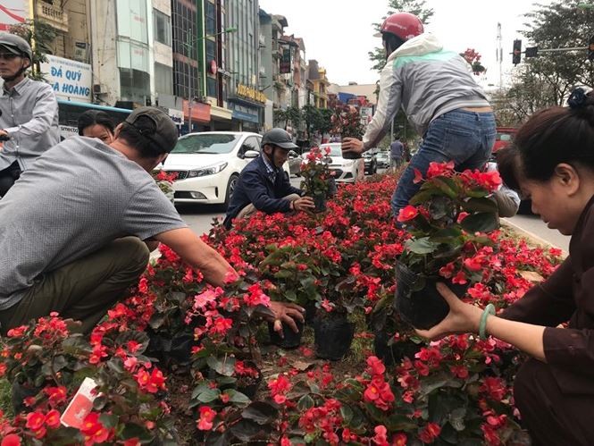 Người dân Hà Nội đánh xe ô tô để 'hôi hoa' trên đường Kim Mã ảnh 2