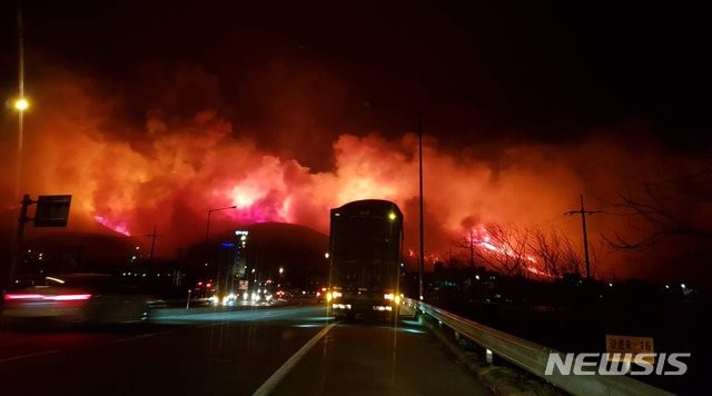 Hàn Quốc huy động quân đội ứng phó thảm họa cháy rừng ảnh 4