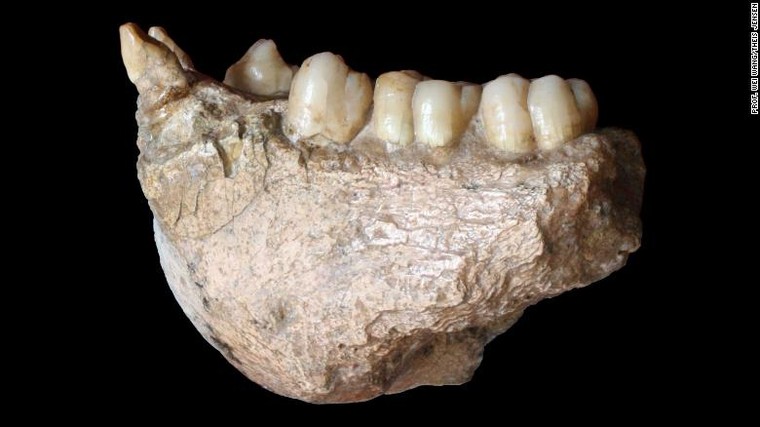 Phát hiện loài linh trưởng khổng lồ là nguyên mẫu của 'King Kong' ảnh 2