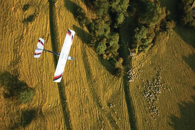 Ứng dụng máy bay không người lái vào chăn nuôi gia súc ảnh 1