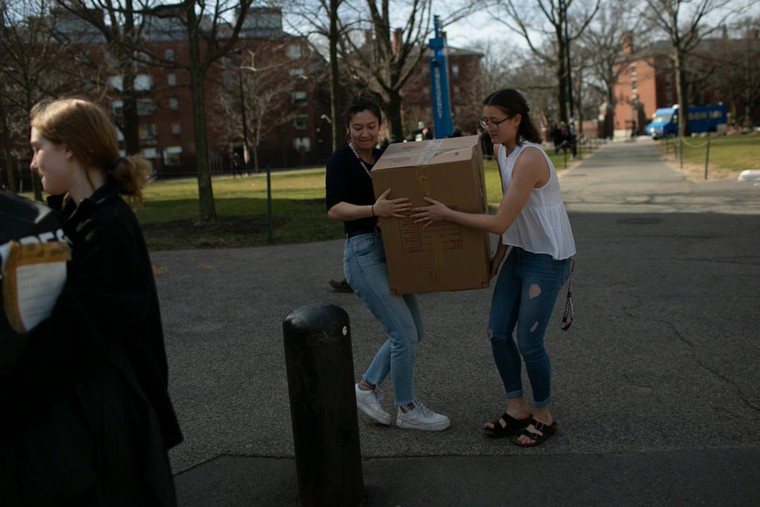 Sinh viên Havard 'cuống cuồng' trước quyết định đóng cửa trường ảnh 3