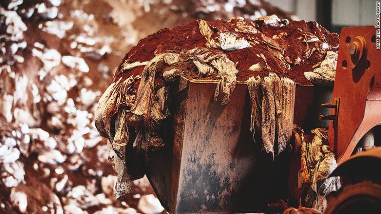 Công nghệ biến cà phê thành nhiên liệu ảnh 1