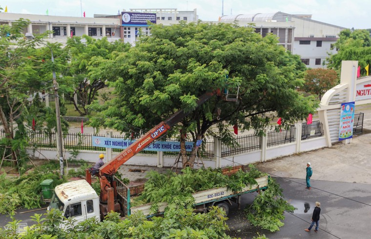 Ngư dân Đà Nẵng, Quảng Nam sẵn sàng chống bão số 5 ảnh 4