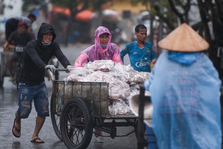 Ngư dân Đà Nẵng, Quảng Nam sẵn sàng chống bão số 5 ảnh 1