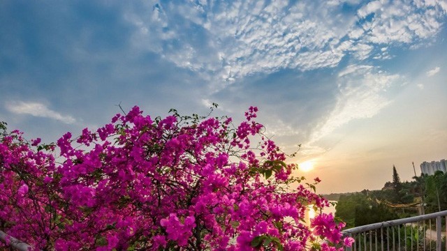 Check in 'sương sương' những cây cầu đẹp mê hồn tại Ecopark ảnh 1