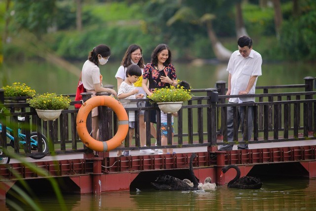 Check in 'sương sương' những cây cầu đẹp mê hồn tại Ecopark ảnh 8