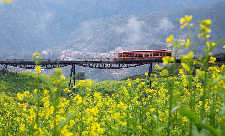 Nửa thập kỷ chinh phục 'Nóc nhà' Đông Dương và vươn tầm thế giới ảnh 3