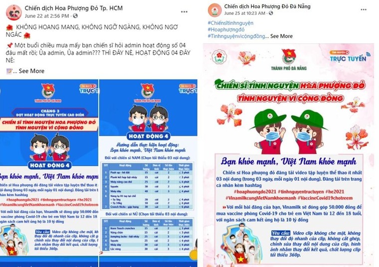 Bạn gieo một hạt mầm 'khỏe mạnh' và chúng ta sẽ gặt sức mạnh diệu kỳ ảnh 2