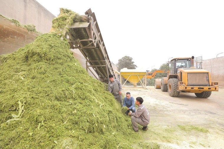 Những sáng chế 'triệu đô' tại Cụm trang trại công nghệ cao khép kín lớn nhất thế giới ảnh 1