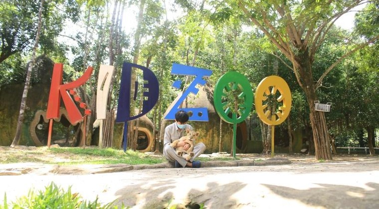 24 giờ của 'bố hổ, mẹ sư tử' ngoài đời tại Vinpearl Safari ảnh 1