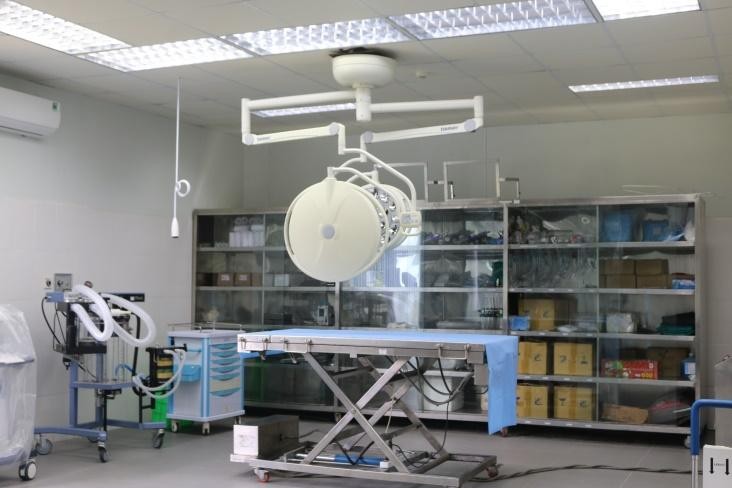 24 giờ của 'bố hổ, mẹ sư tử' ngoài đời tại Vinpearl Safari ảnh 3