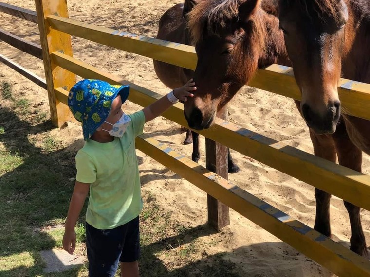 Bình Định đón hơn 155 ngàn lượt khách dịp Tết ảnh 2